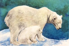 Polar Bear