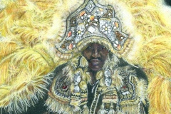 Mardi Gras Indian